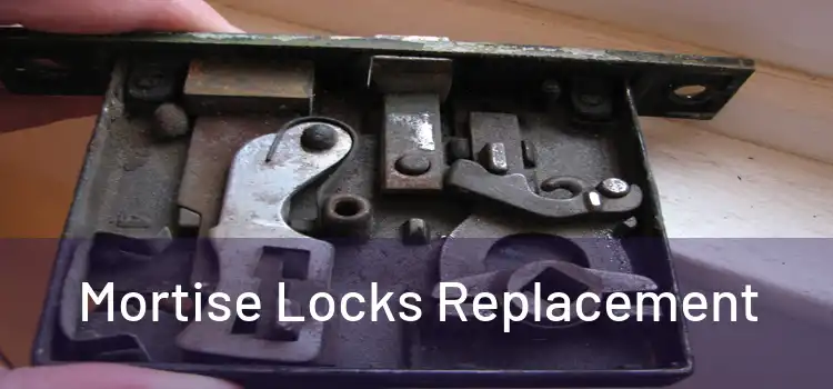  Mortise Locks Replacement 
